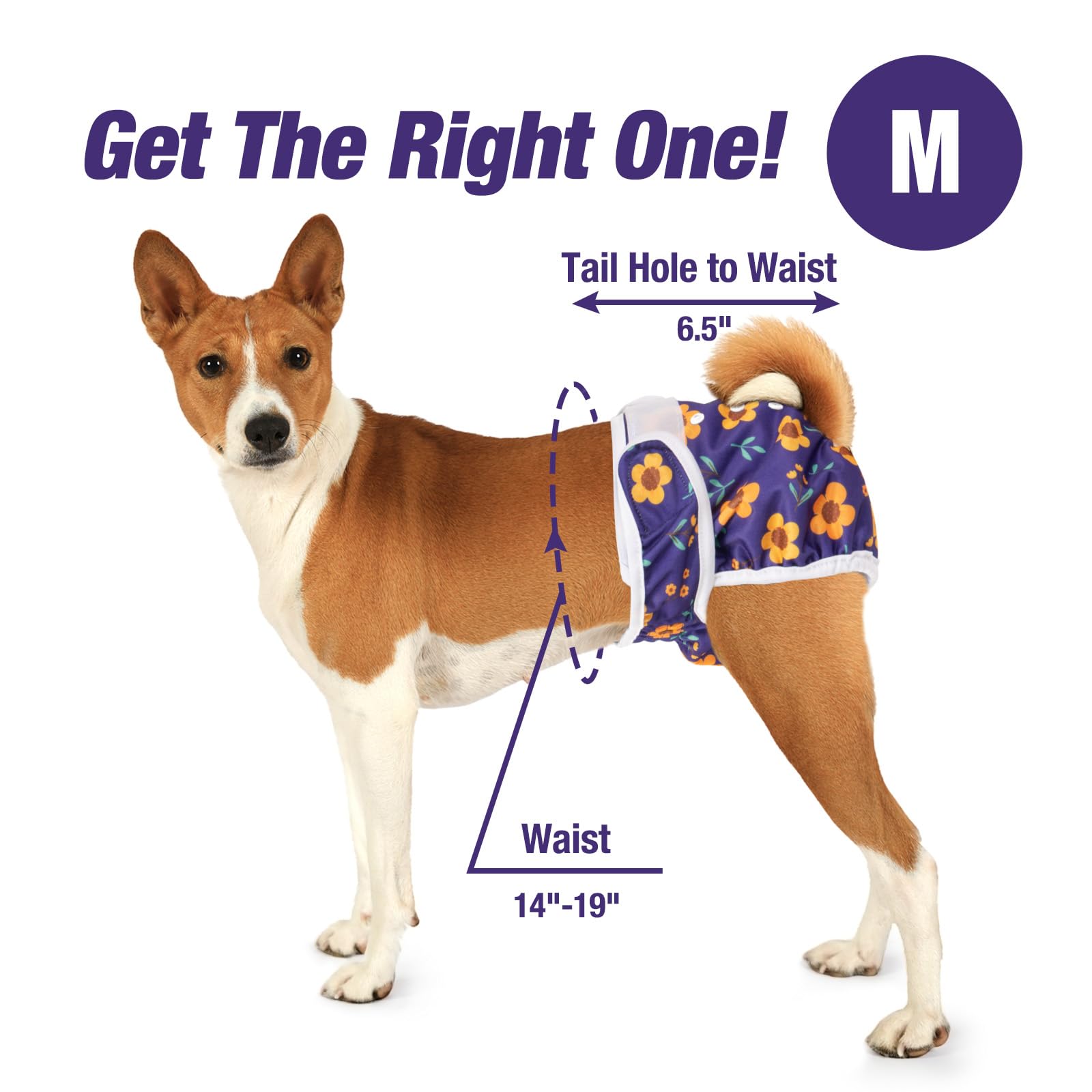 Pet Soft strong magic tape for secure fit during movement.
