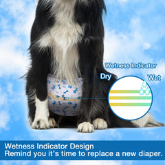 Pet Soft adjustable-fasteners highlight secure, customizable fit.