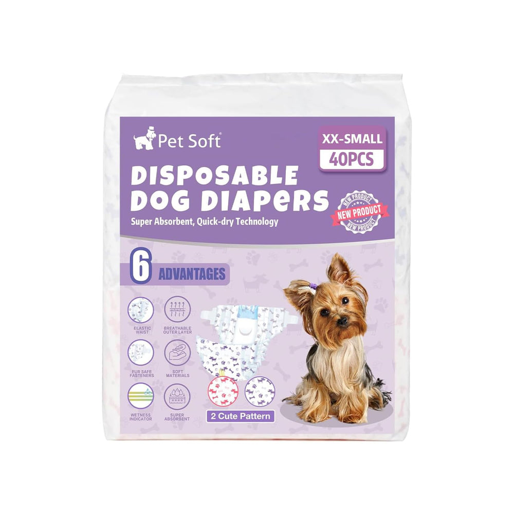 Pet Soft diapers in action on a tiny female dog.