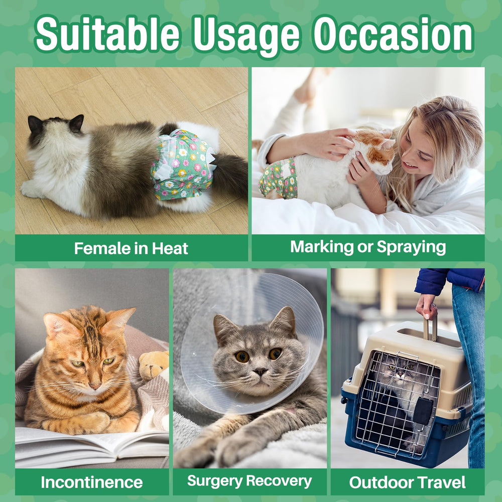 Pet Soft guide shows measuring cat waist to ensure right fit.
