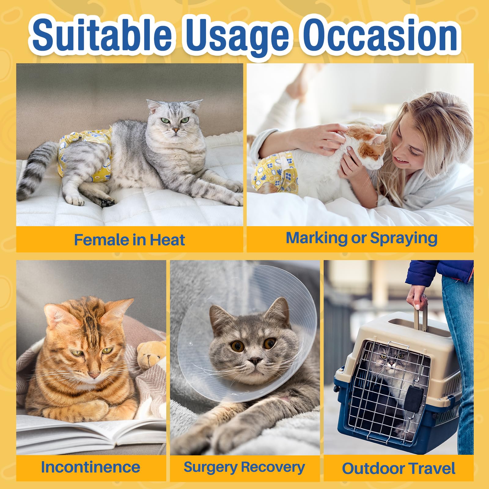 Pet Soft travel-ready cat diapers for outings.
