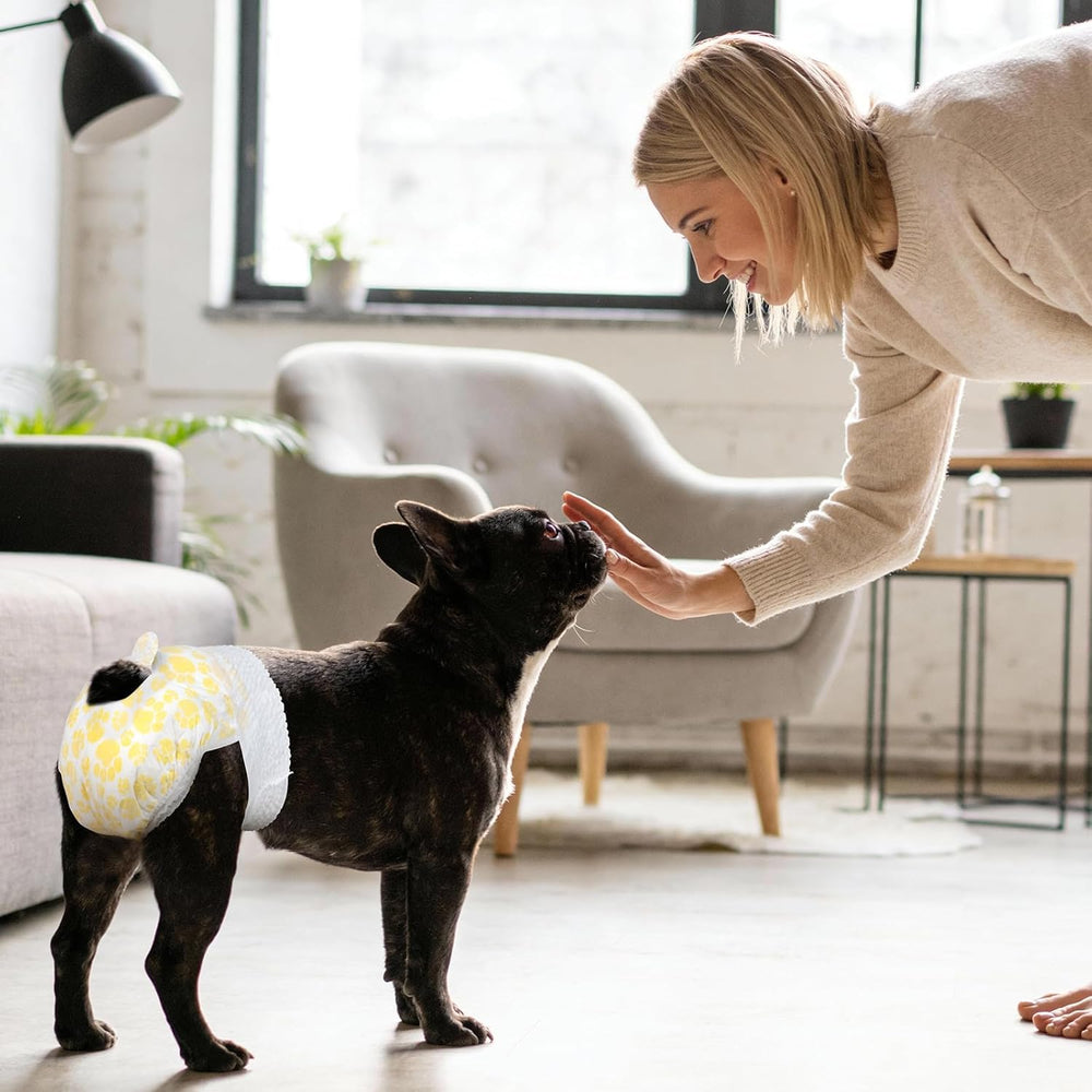Pet Soft large 20-pack for extended pet care and peace of mind.