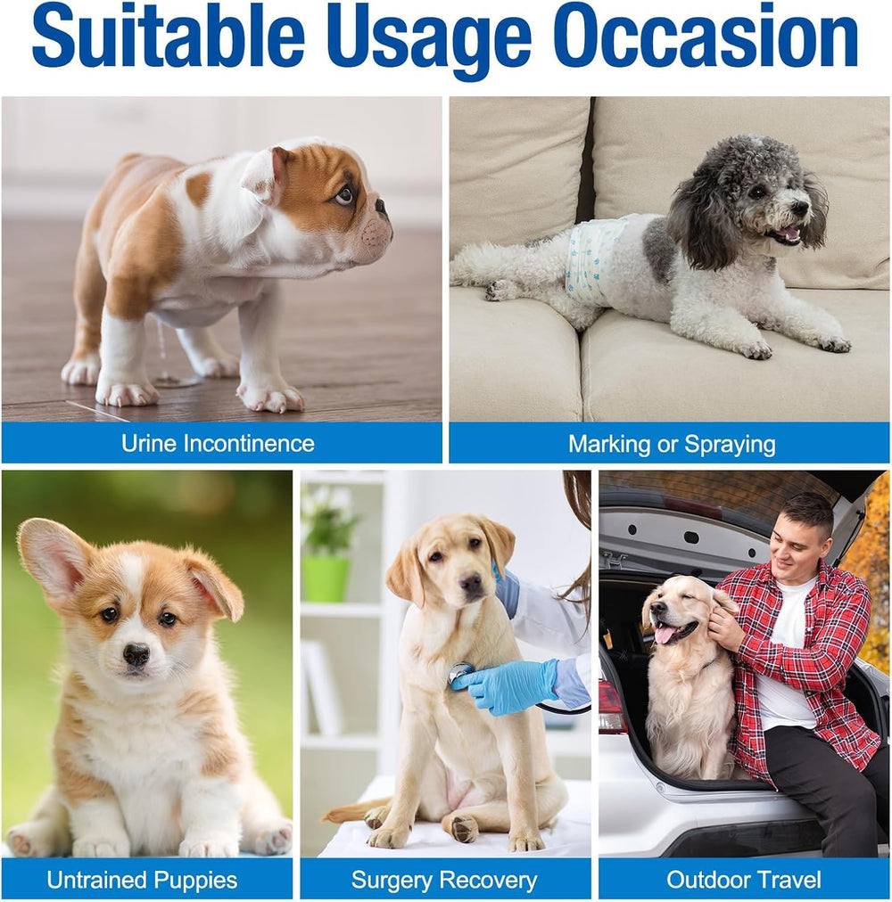 Pet Soft dog diapers ideal for daily use or travel.