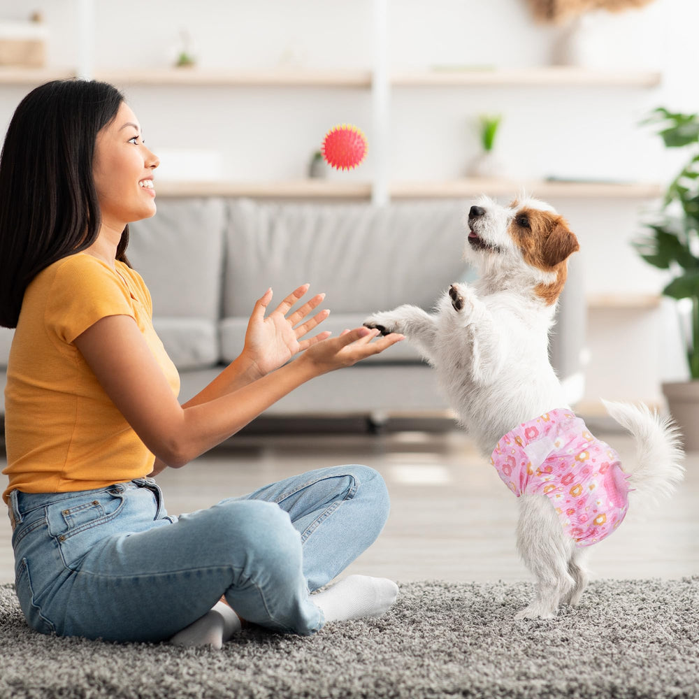 Pet Soft 36-count pack for convenient replacements