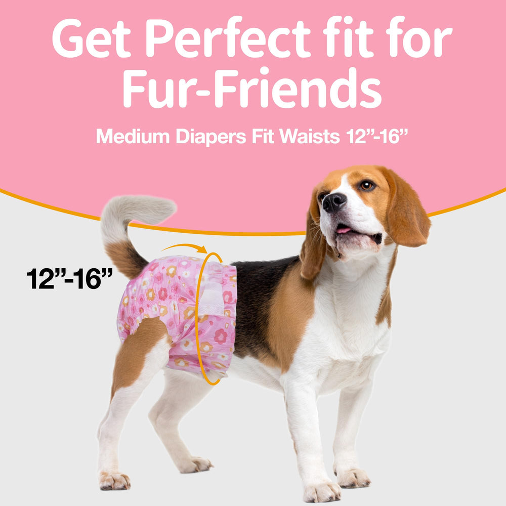 Pet Soft 360° leak-proof design helps prevent leaks.