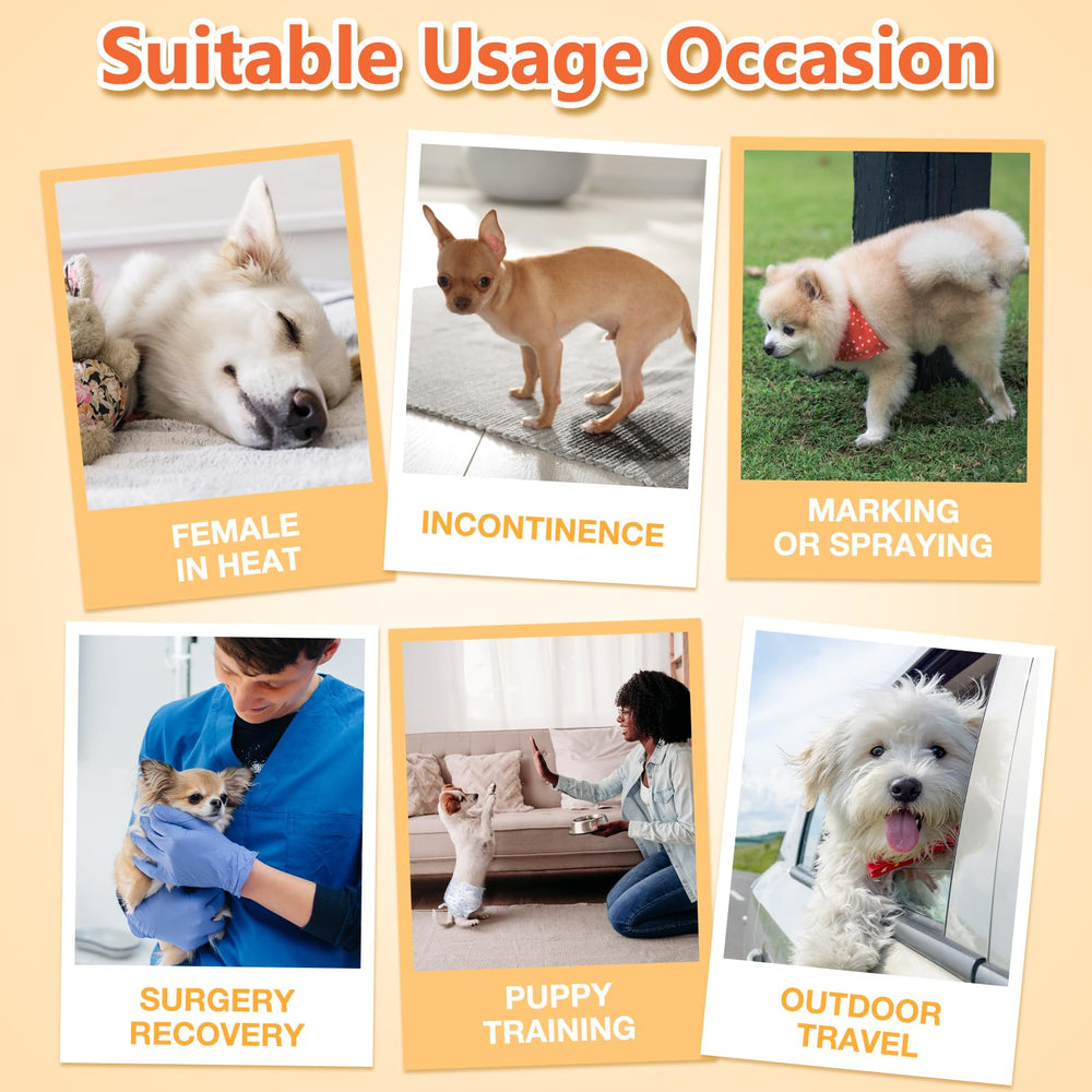 Pet Soft absorbent core close-up illustrating rapid absorption and comfort