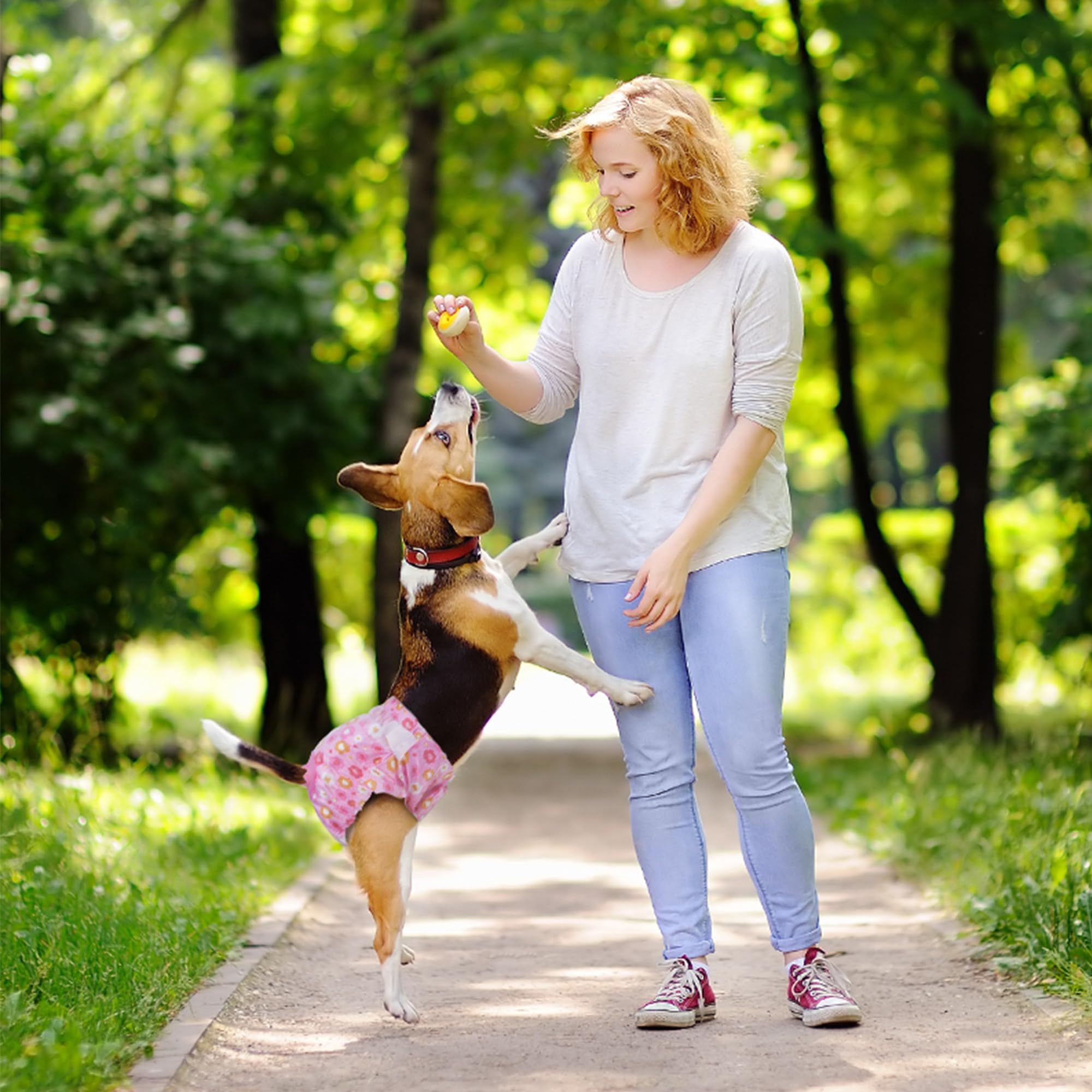 Pet Soft daily-use diaper is convenient for routine care and in-between baths.