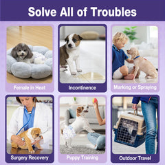 Pet Soft diapers with mixed-pattern pack emphasizes fashion and practicality for daily use.