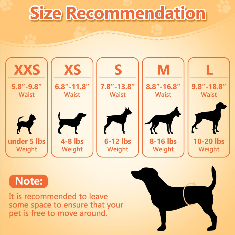 Pet Soft pattern variety image showcases stylish and practical options for dogs