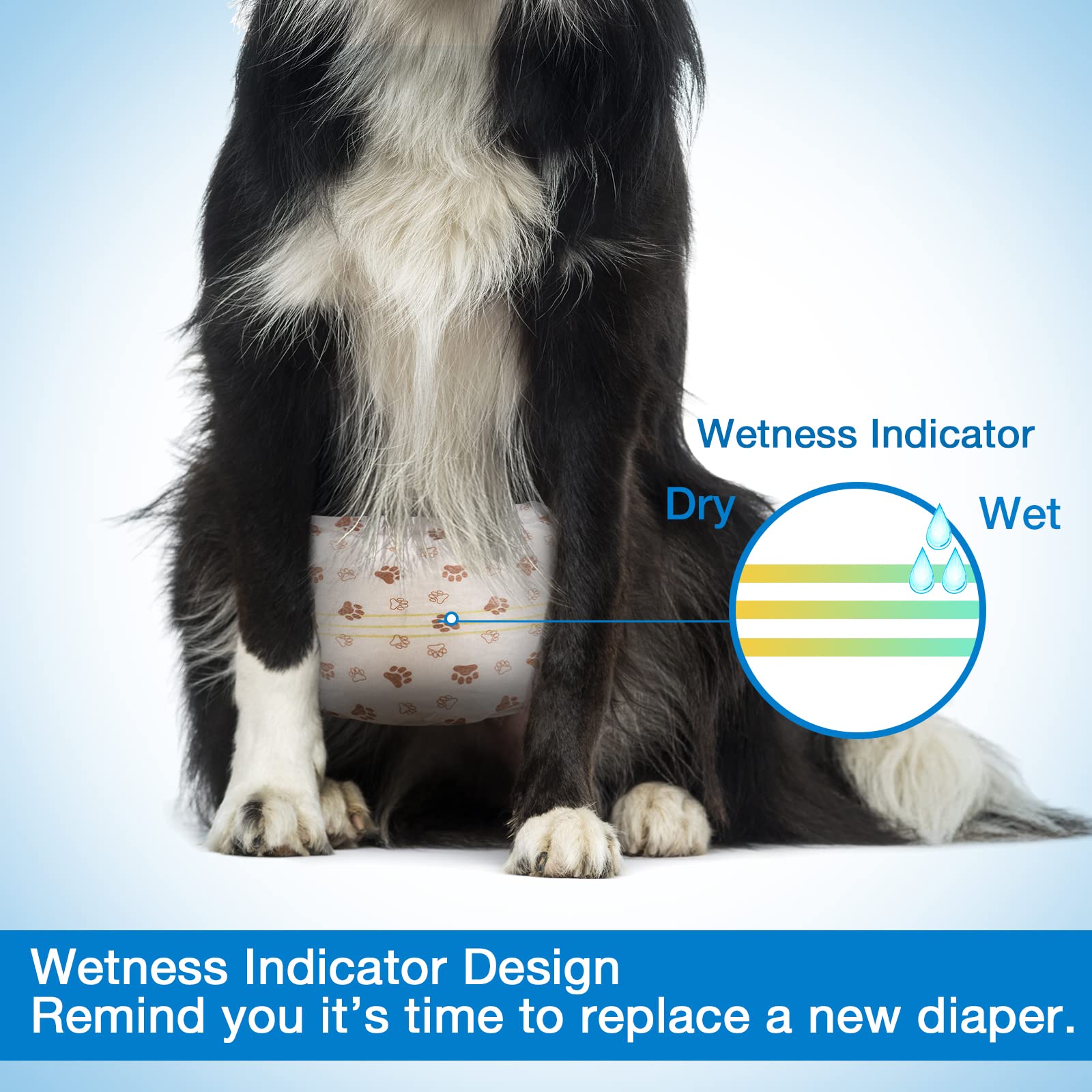 Wetness indicator visible on Pet Soft diaper for easy monitoring