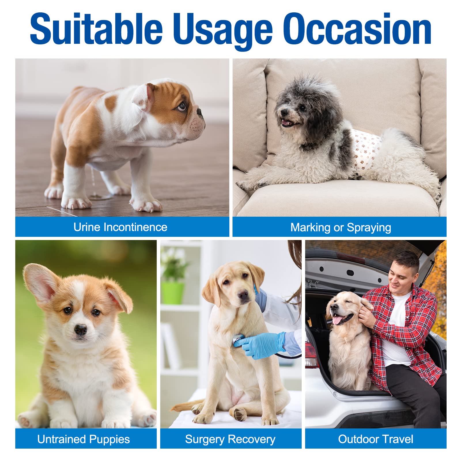 Pet Soft XSmall fits waists 6 to 13 inches.