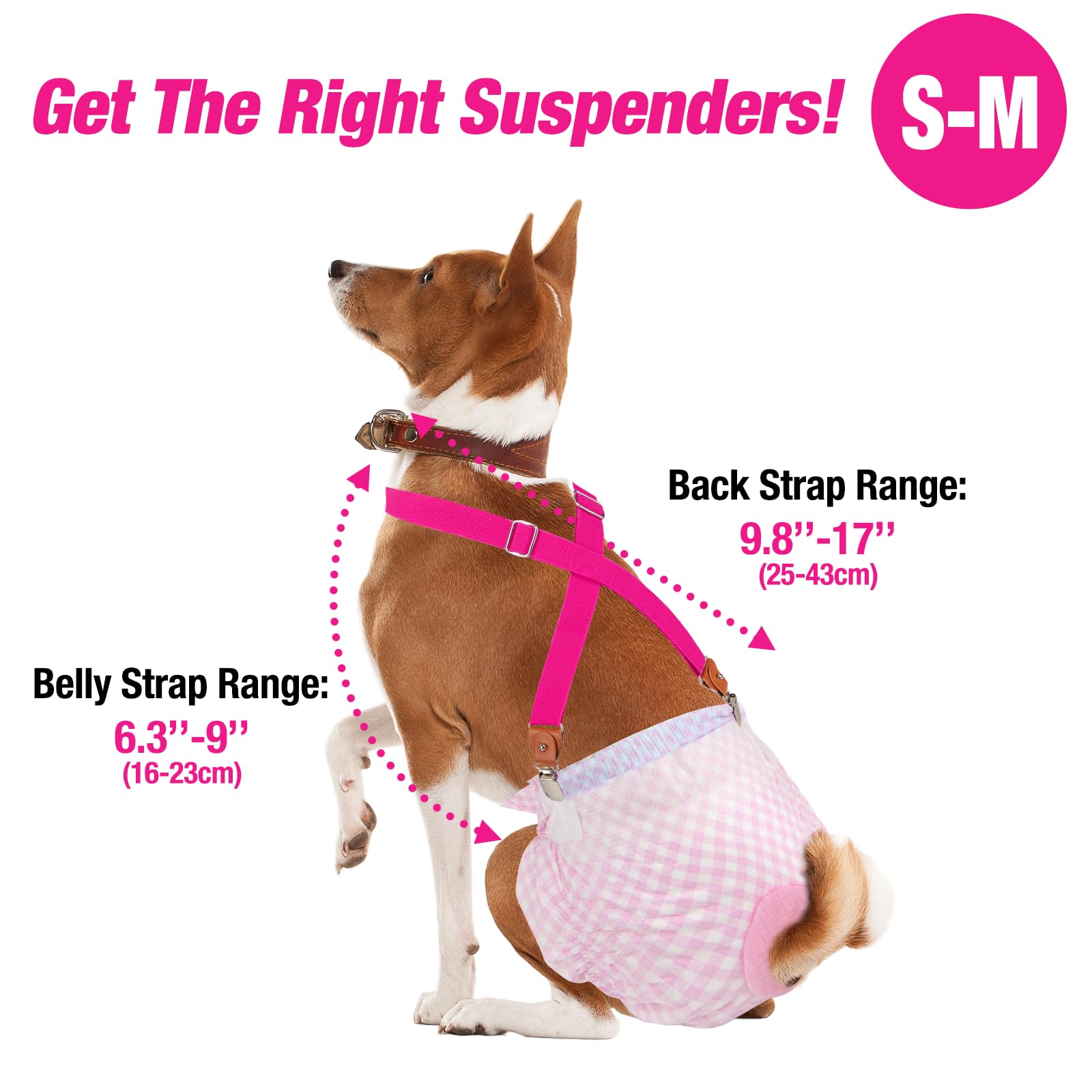 Pet Soft dog suspenders metal clip replacement included for quick, secure diaper grip.