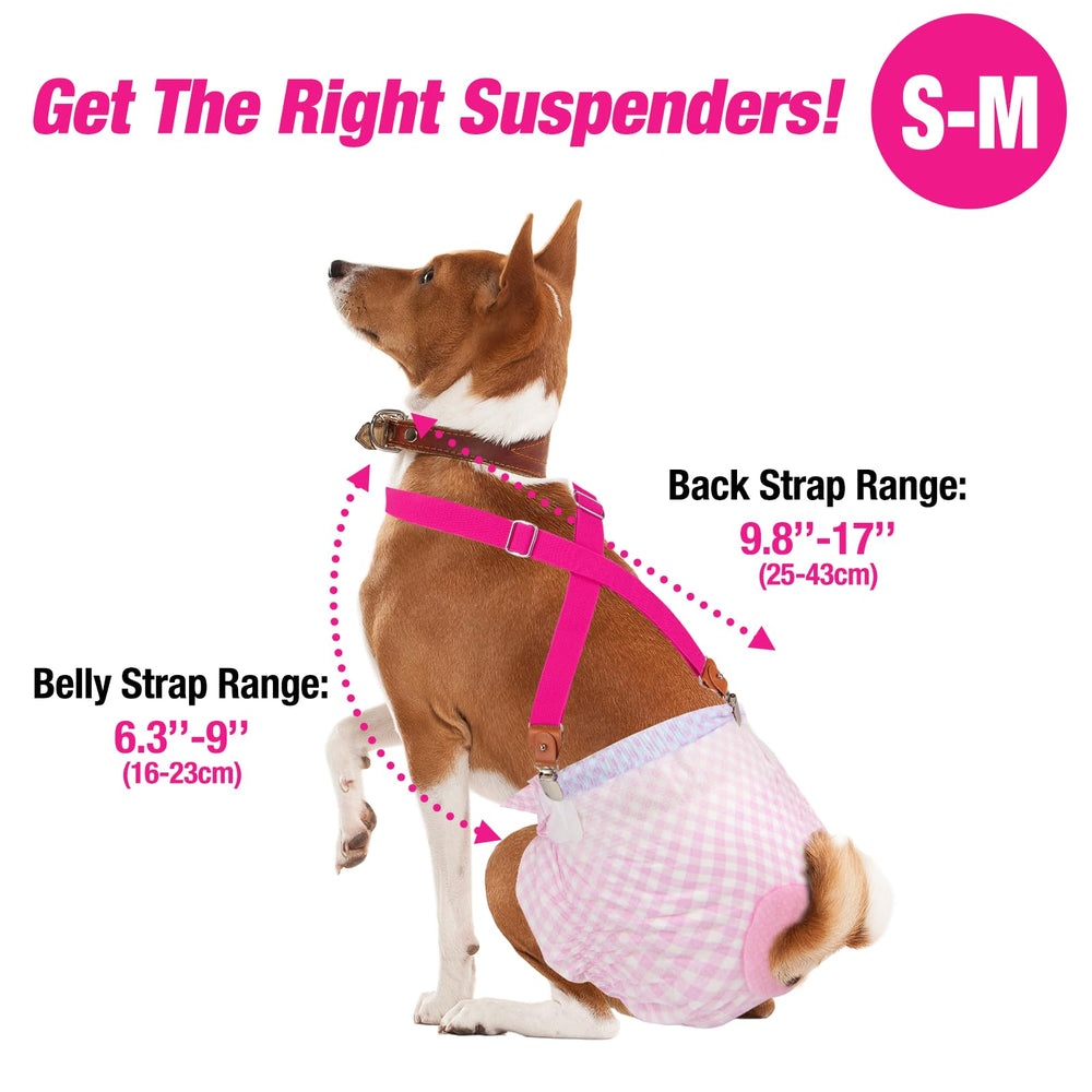 Pet Soft dog suspenders metal clip replacement included for quick, secure diaper grip.