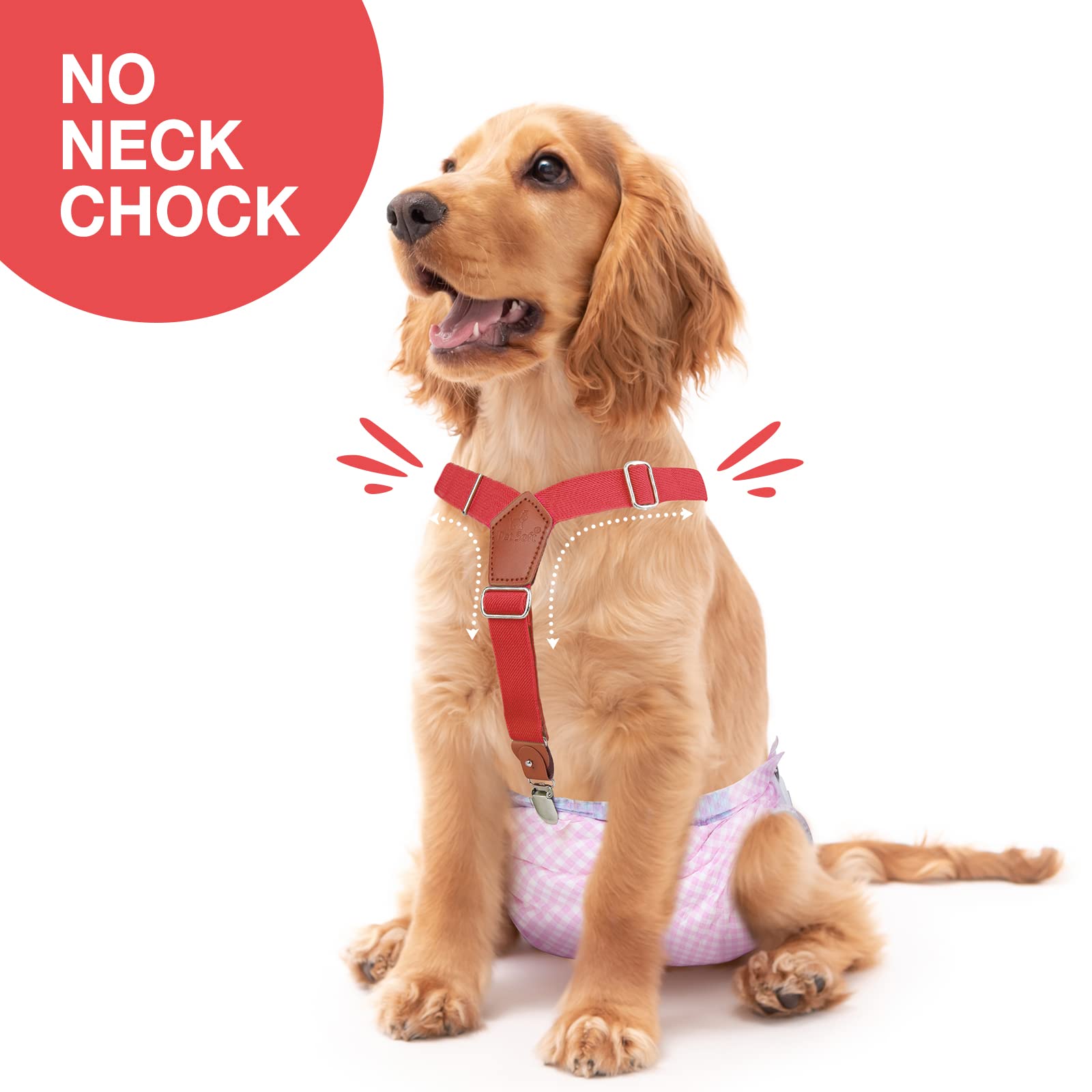 Pet Soft dog suspenders metal-clip showing strong grip to prevent slips.