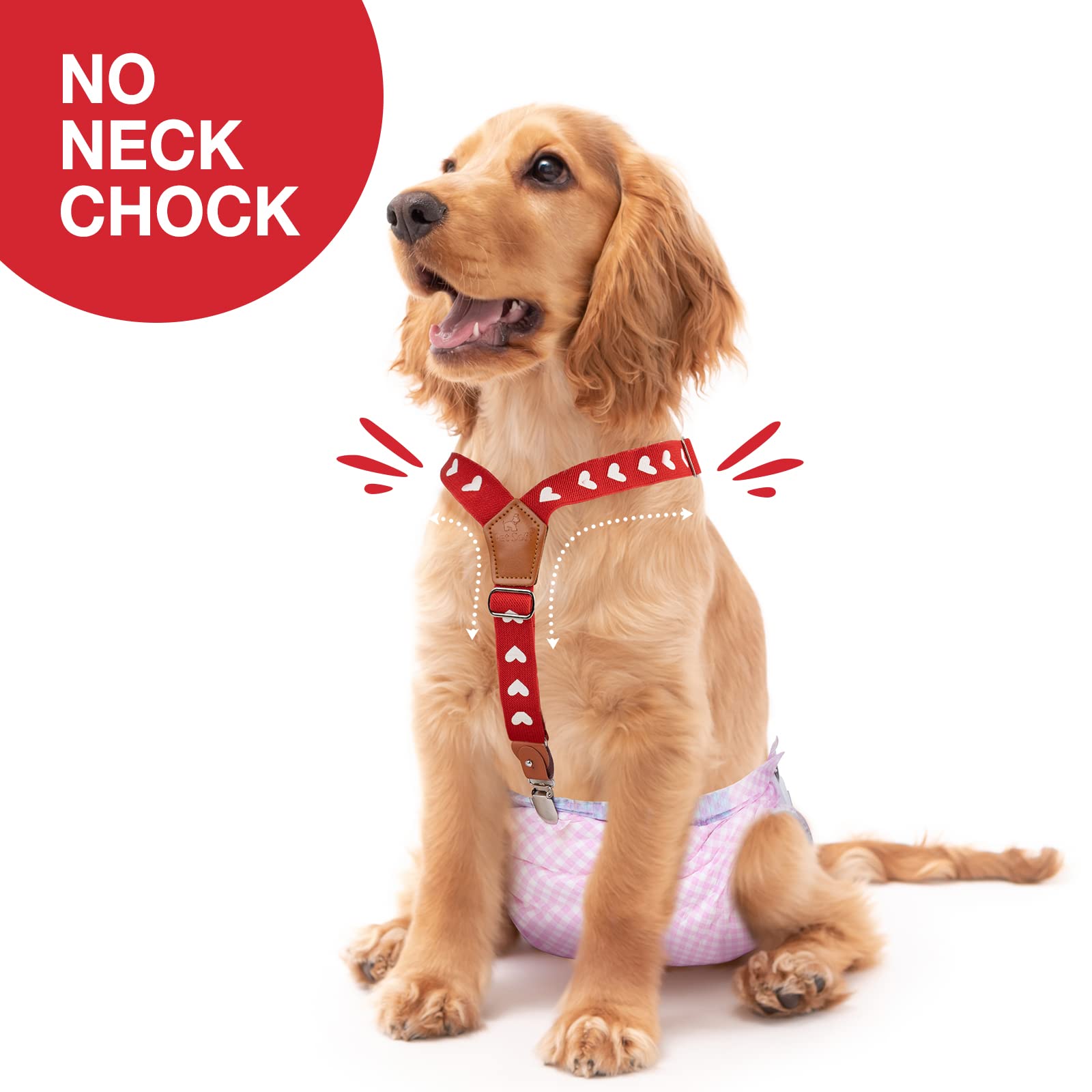 Pet Soft dog suspenders soft-stretch webbing for comfortable all-day wear.