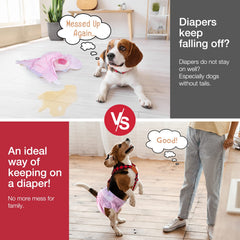Pet Soft dog suspenders three-webbing design demonstrates no-neck choking for gentle support.