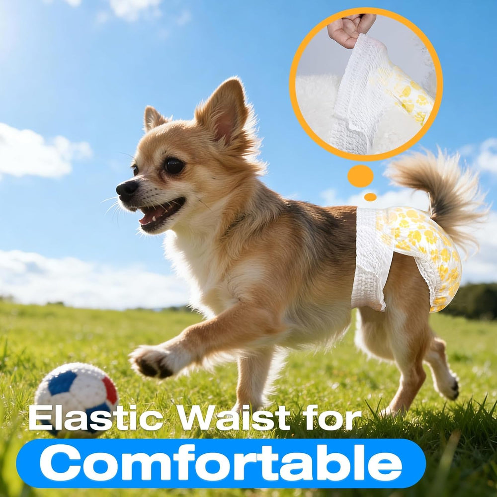 Pet Soft multi-function diapers support heat cycles and urinary needs.