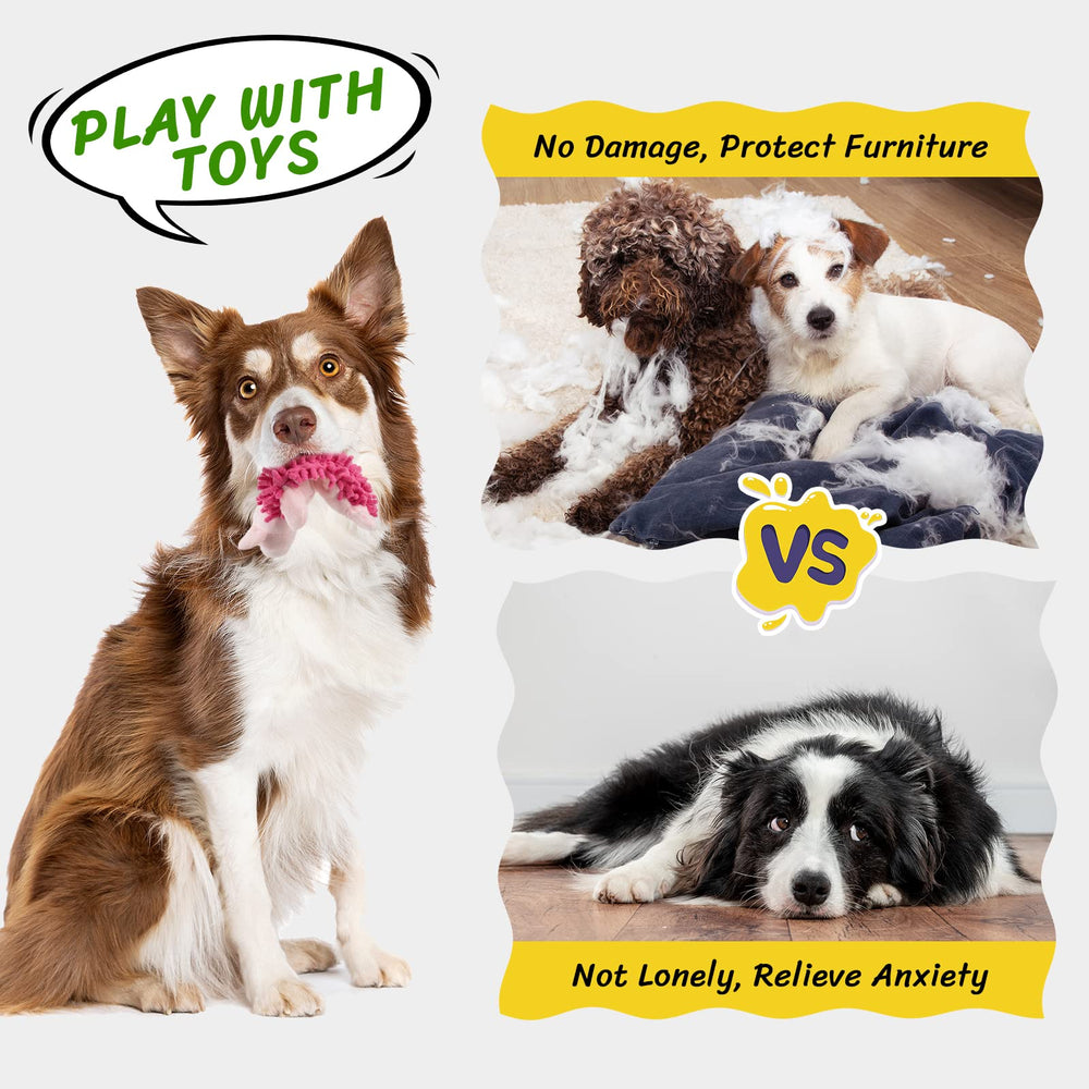 Pet Soft no-stuffing dog toy keeps play clean and mess-free