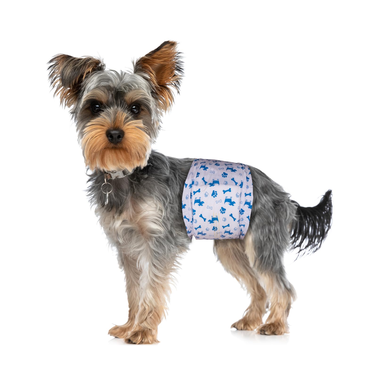 Pet Soft small dog diapers offer discreet protection for active days.