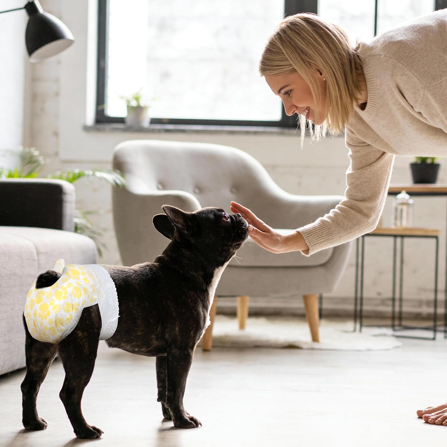 Pet Soft small-dog diaper pack for a 20-count supply.