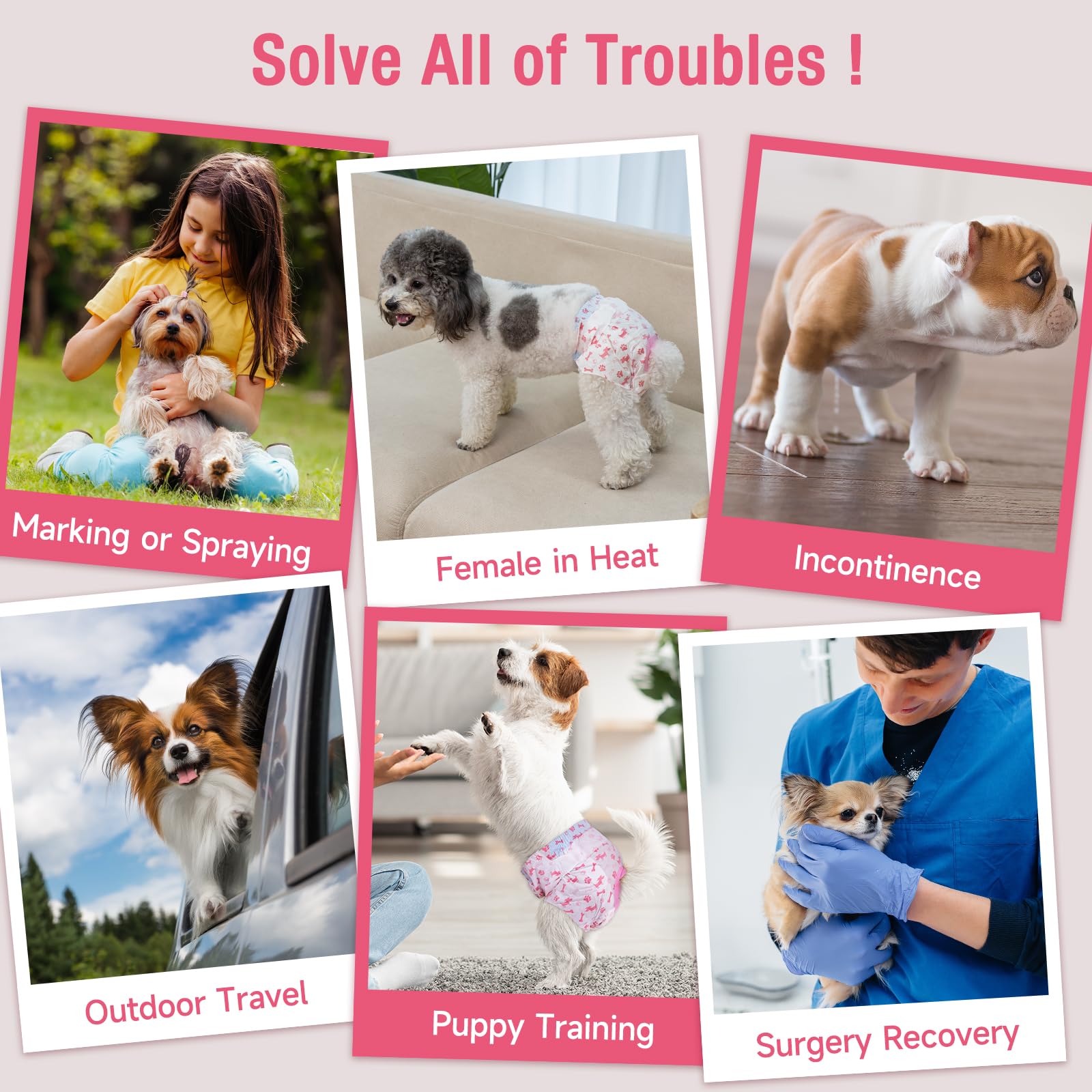 Pet Soft ultra-absorbent core provides quick absorption and reliable protection.