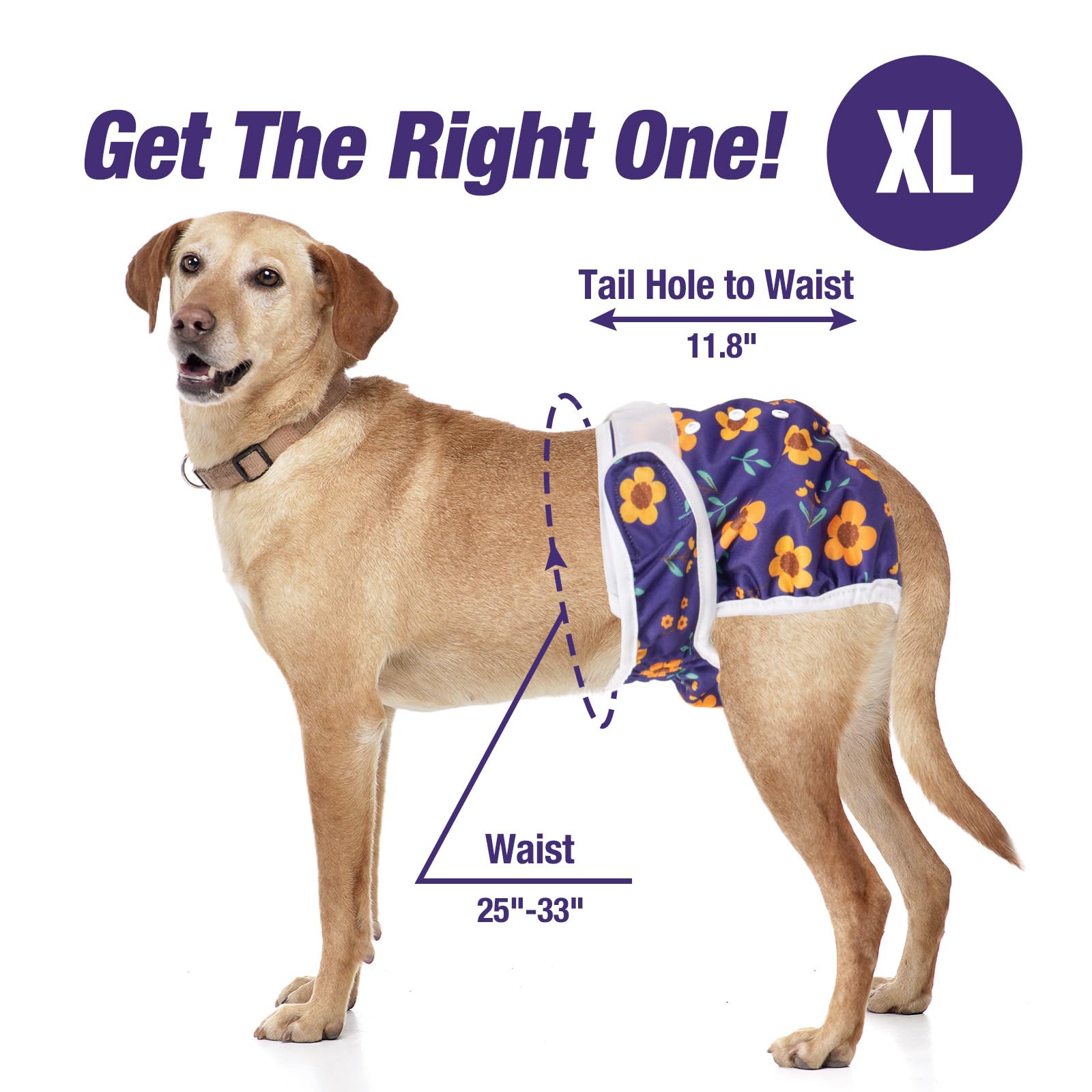 Pet Soft durable fabric and wide tape ensure secure, comfortable wear.