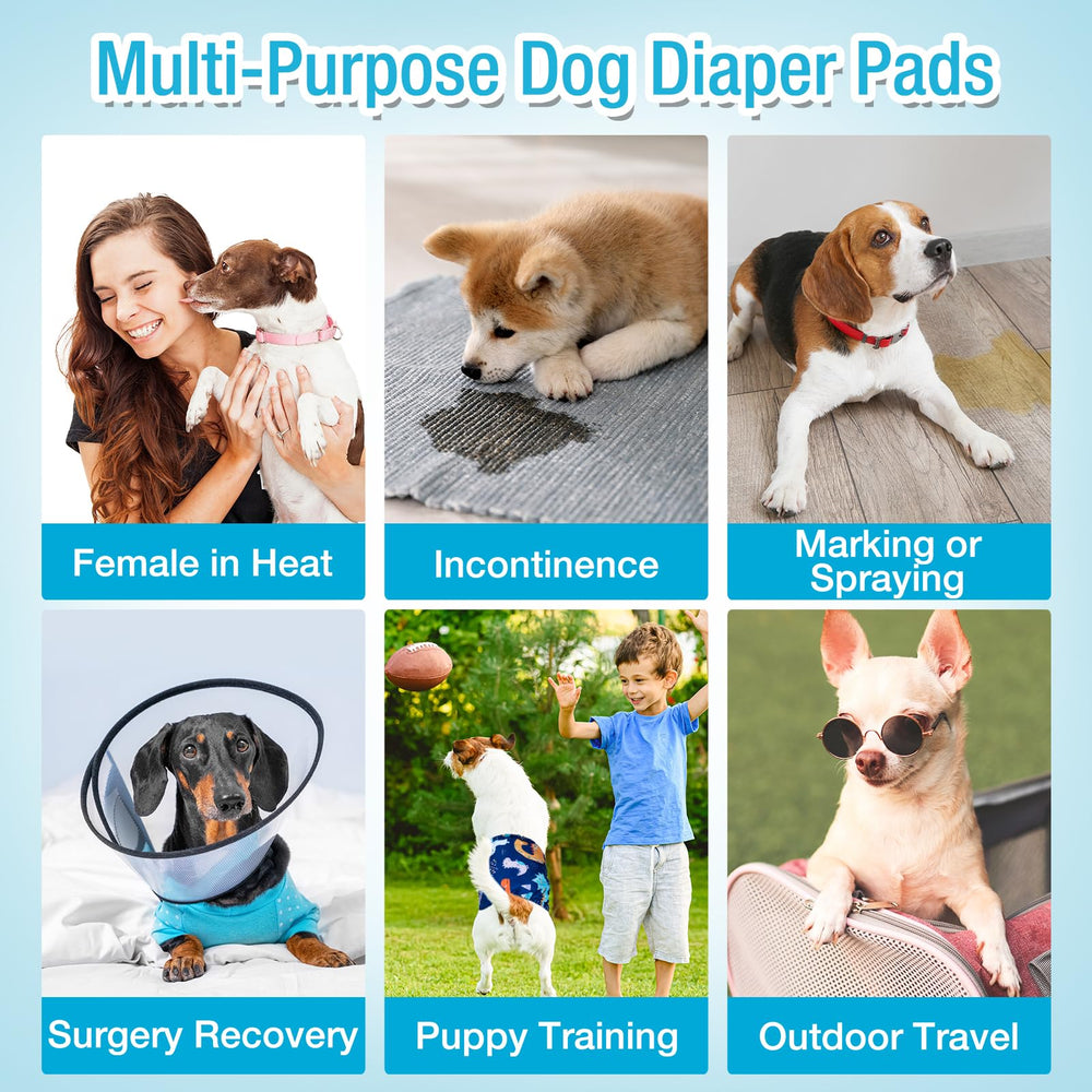 Pet Soft wrap compatible liner displayed with various dog wraps