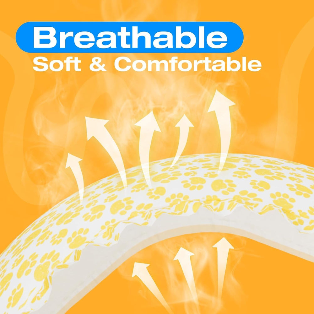 Pet Soft diapers feature waterproof edges to prevent leaks.
