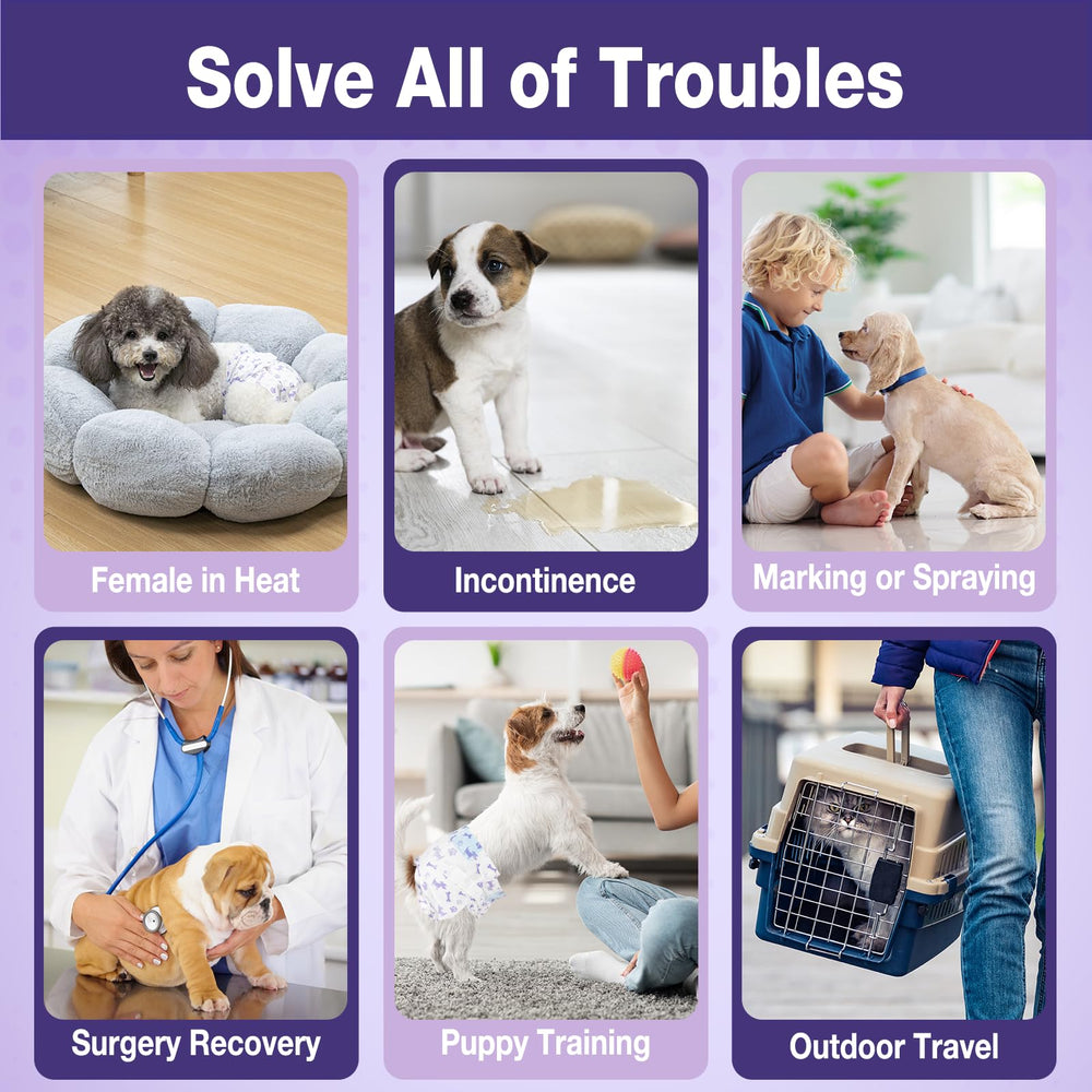 Pet Soft XS size fits extra small dogs with 11–16 inch waists.