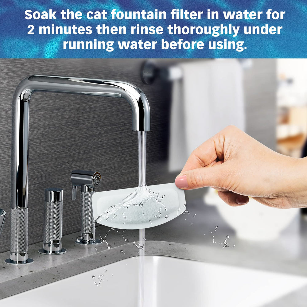 Pet Standard fountain setup ready for easy refills.