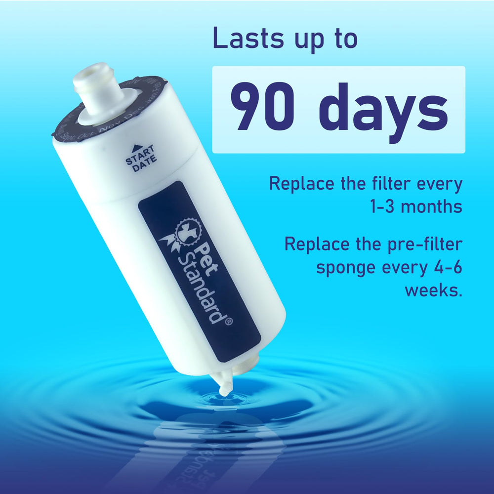 PET STANDARD hygiene-friendly materials support regular replacements for fresher tasting water.