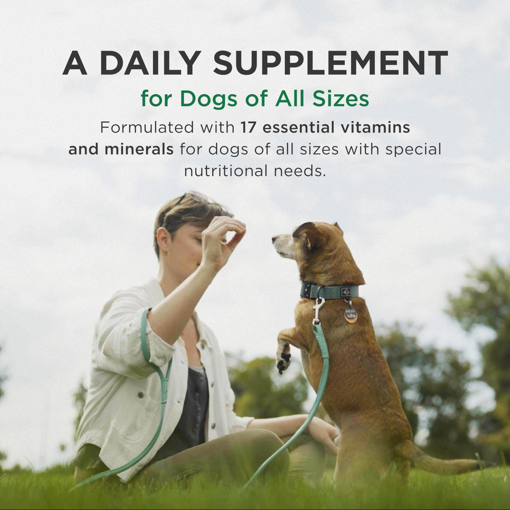 Pet-Tabs chewable tablet shown as a tasty treat, ideal for positive mealtime routine.