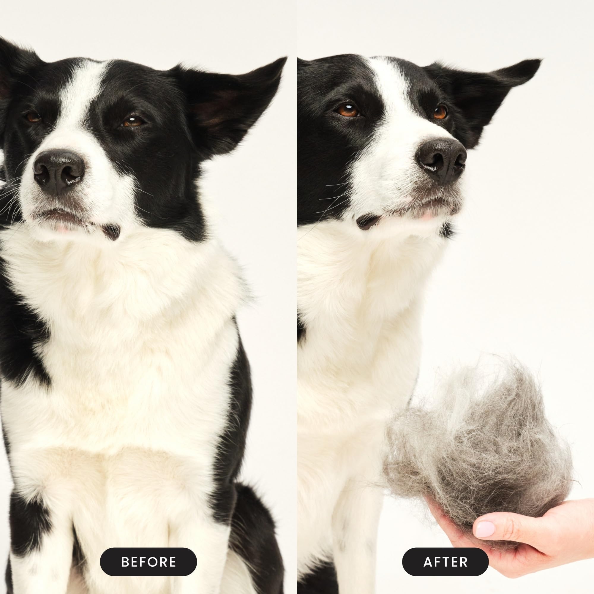 Pet Teezer ideal for bath time and dry grooming