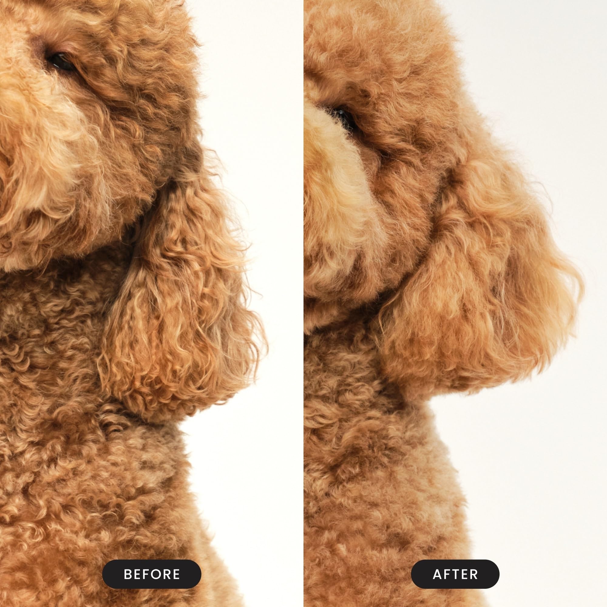Pet Teezer palm friendly handle featured during extended brushing sessions