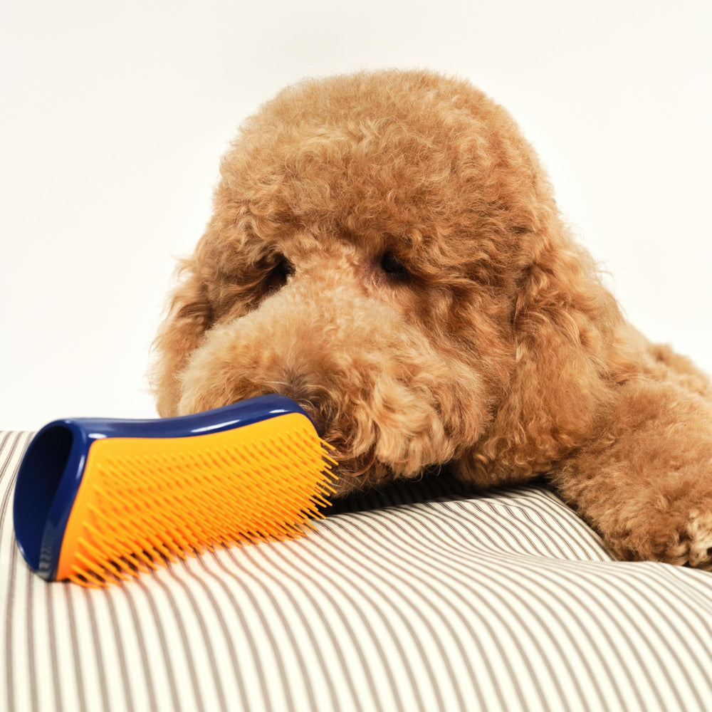 Pet Teezer sustainable packaging transition image underlines eco friendly approach