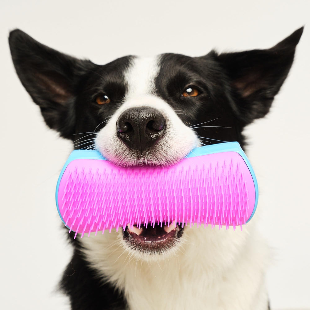 Pet Teezer sustainable packaging may vary during transition