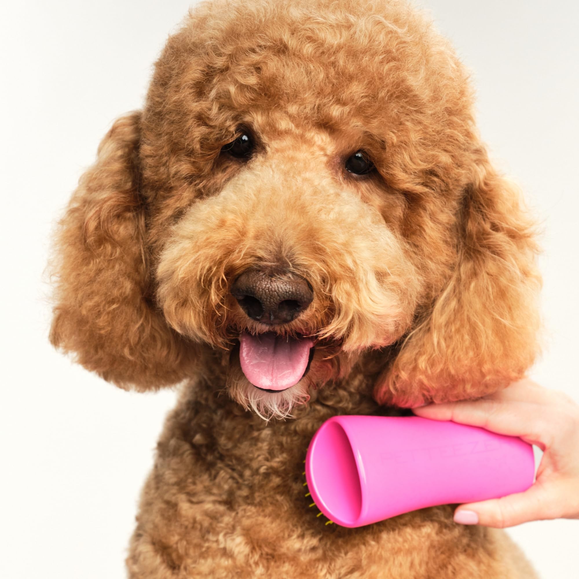 Pet Teezer detangling brush in action on a long-haired dog