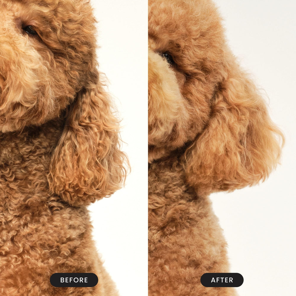 Pet Teezer easy-clean teeth being rinsed after grooming