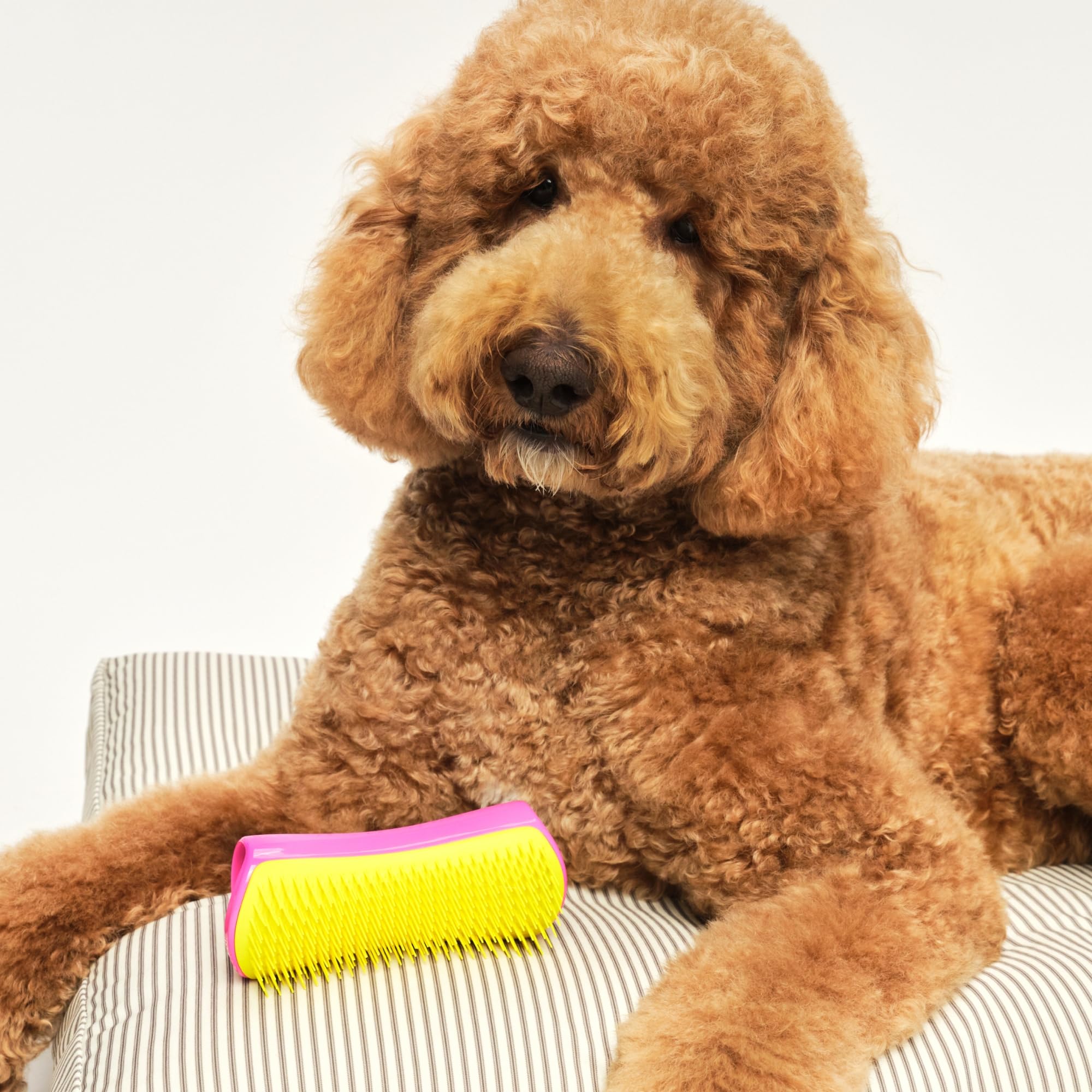 Pet Teezer large pink-yellow brush for long fur styling
