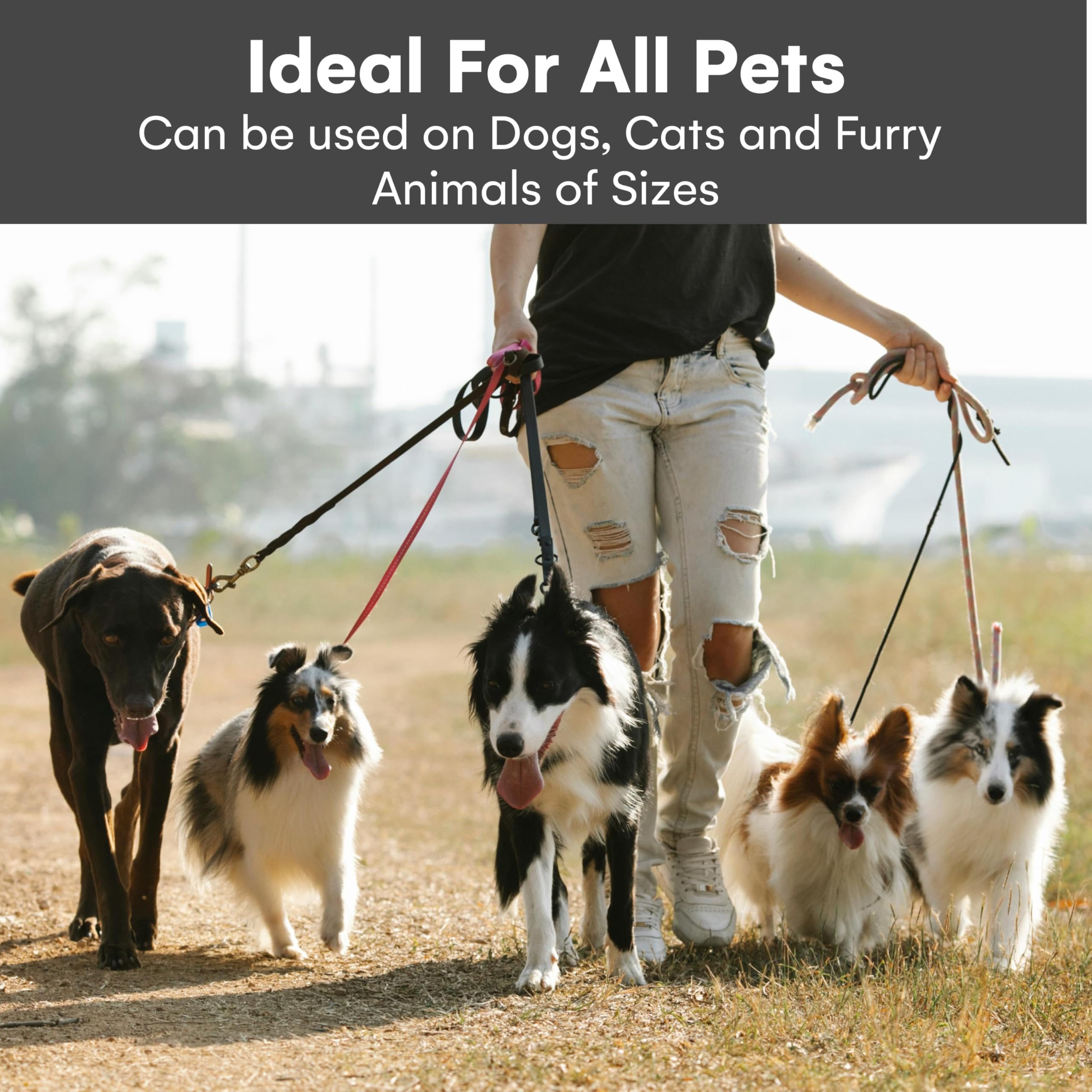 Pet Union Anti-pull Skin-friendly Grooming for anxious pets