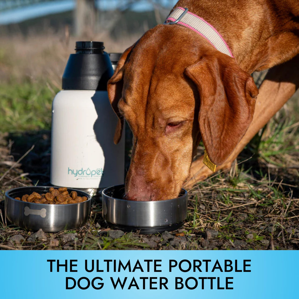 Pet Vet Hydropet bottle non-slip base prevents tipping