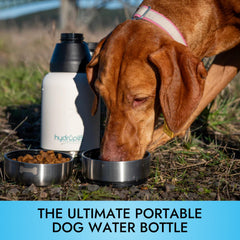 Pet Vet Hydropet bottle non-slip base prevents tipping