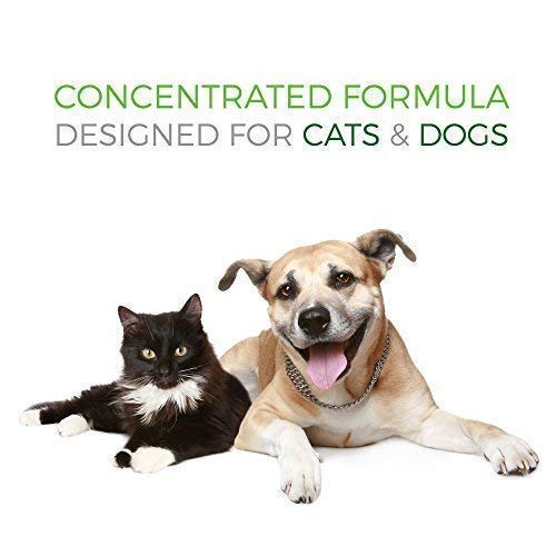 Pet Vitamin Co close-up chews showing omega-3 rich formula
