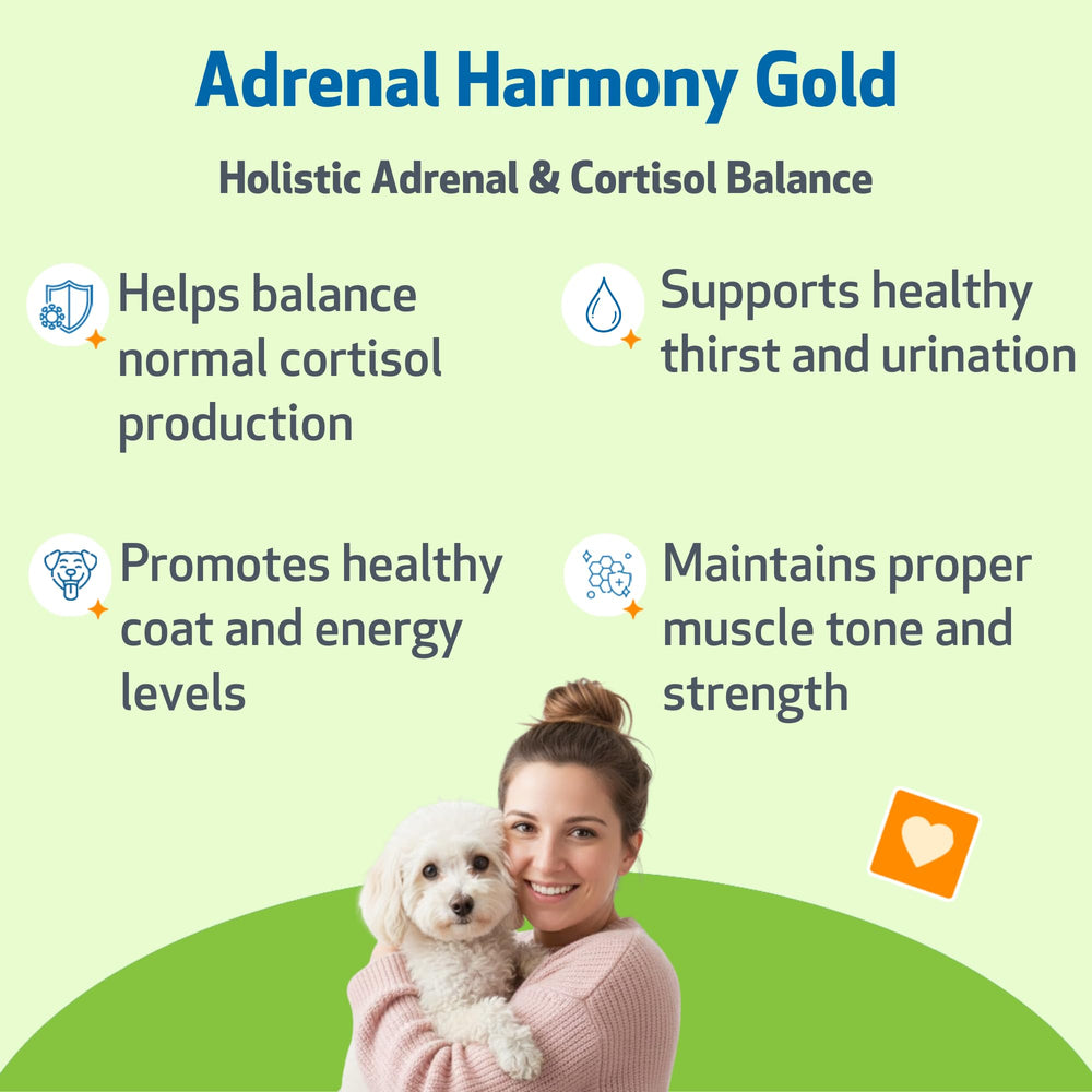 Pet Wellbeing Adrenal Harmony Gold dropper for easy daily dosing at home.