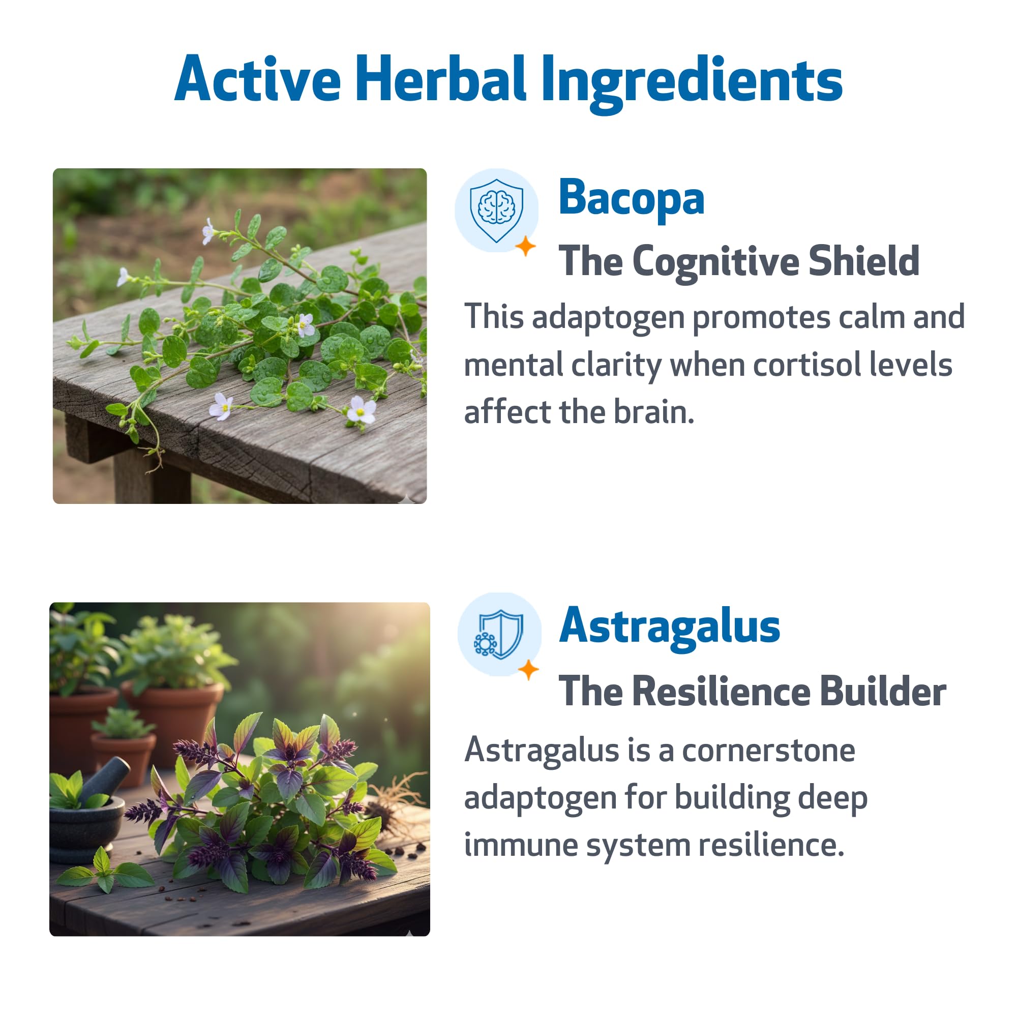 Pet Wellbeing Adrenal Harmony Gold ashwagandha blend supports resilience in dogs.