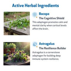 Pet Wellbeing Adrenal Harmony Gold ashwagandha blend supports resilience in dogs.