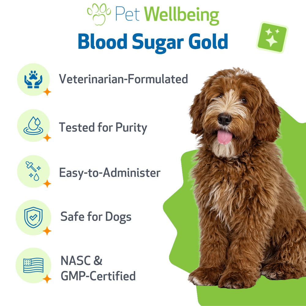 Pet Wellbeing Blood Sugar Gold mixed into dog food at mealtime.