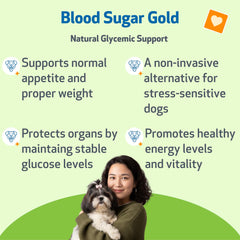 Pet Wellbeing Blood Sugar Gold drops for dogs ease daily dosing and glycemic support.