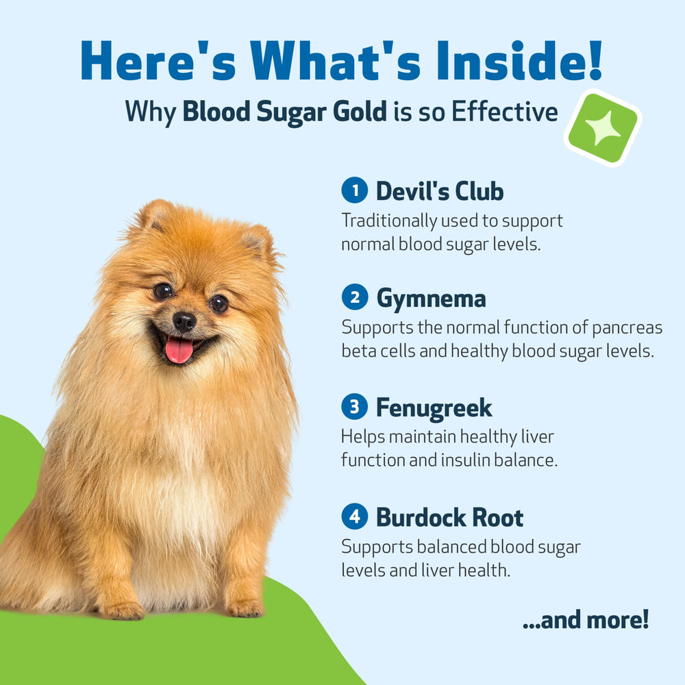 Pet Wellbeing Blood Sugar Gold for dogs label lists organic herbs and dosage guidance.