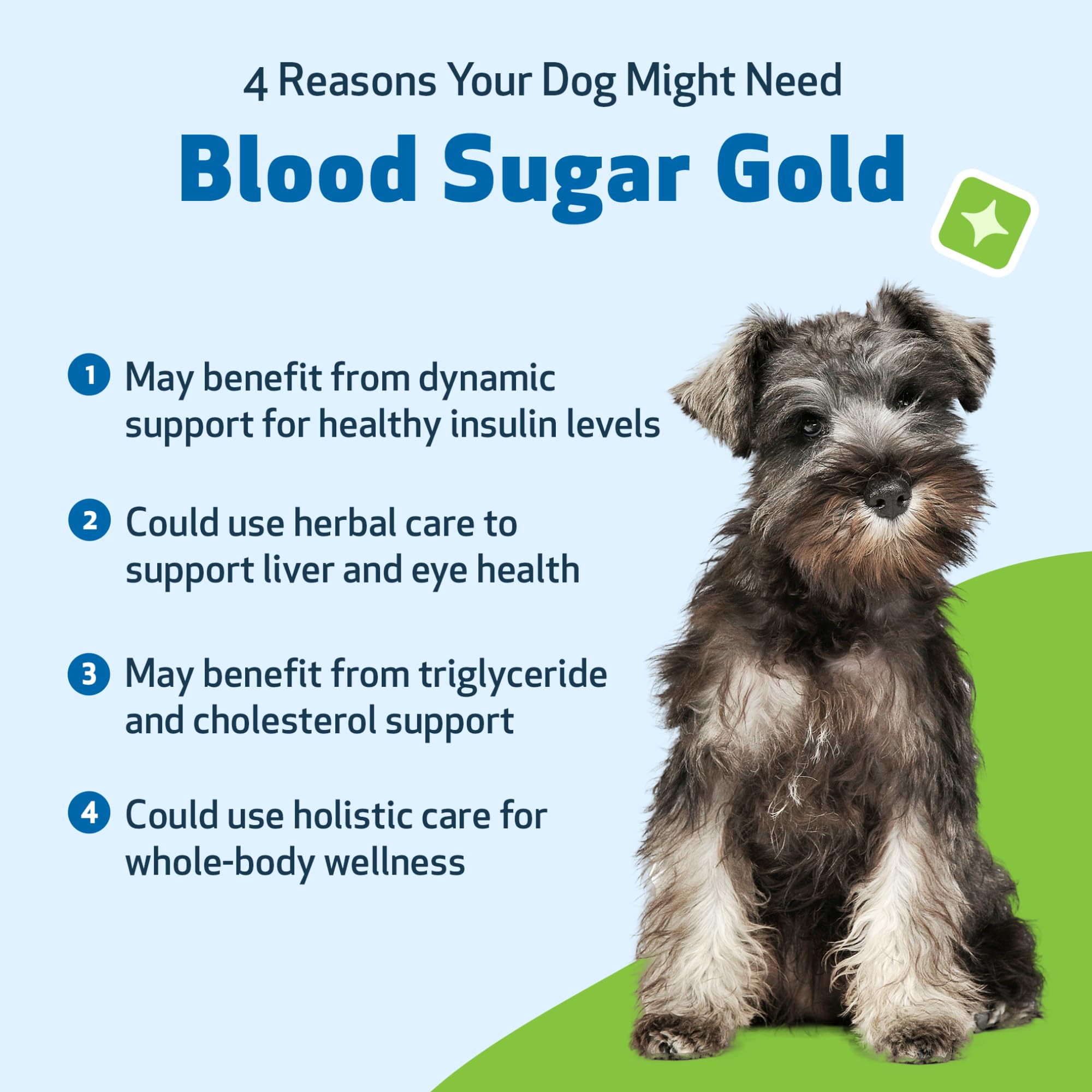 Pet Wellbeing Blood Sugar Gold NASC-certified, USA-made packaging.
